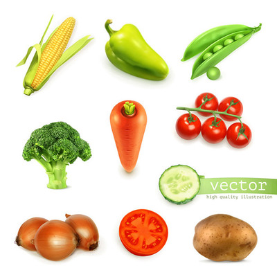 各种蔬菜图标矢量图.